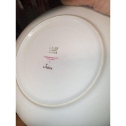 Lot plat et 8 assiettes 