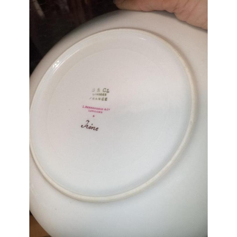 Lot plat et 8 assiettes 