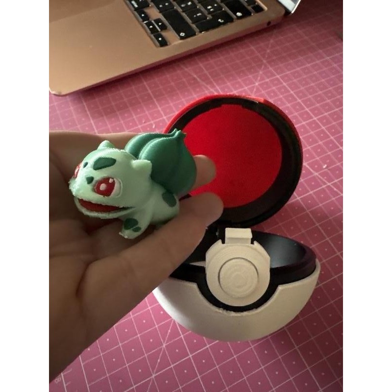 Pokeball et bullbizarre 