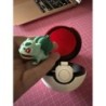 Pokeball et bullbizarre 