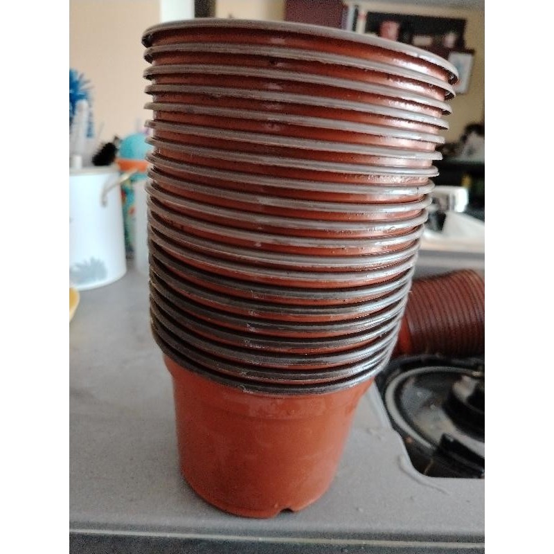 Lot 20 pots rempotage 